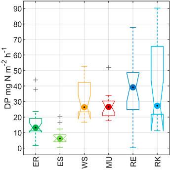 Soil Characteristics and Hydromorphological Patterns Control Denitrification at the Floodplain Scale